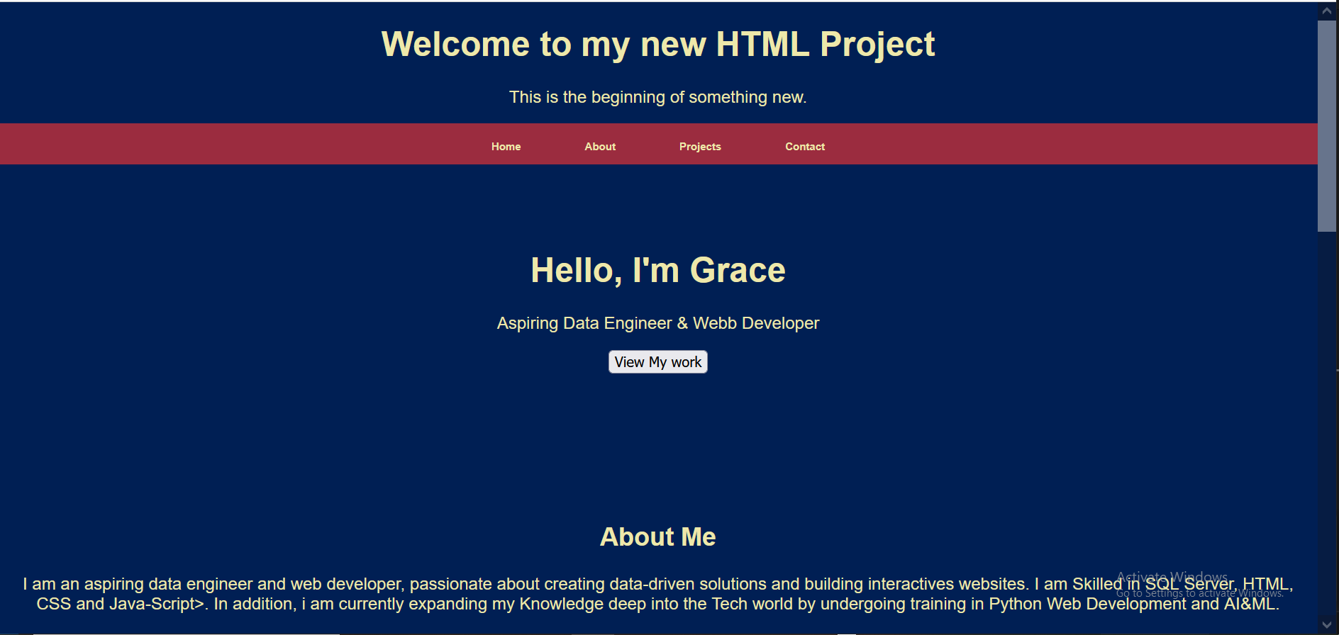 Portfolio Screenshot 1